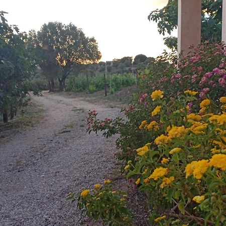 Agriturismo Muristene Villa Dorgali Bagian luar foto