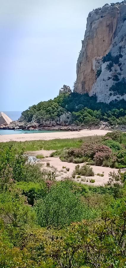 Agriturismo Muristene Villa Dorgali Bagian luar foto