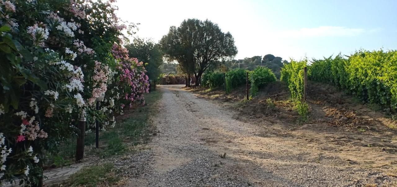 Agriturismo Muristene Villa Dorgali Bagian luar foto