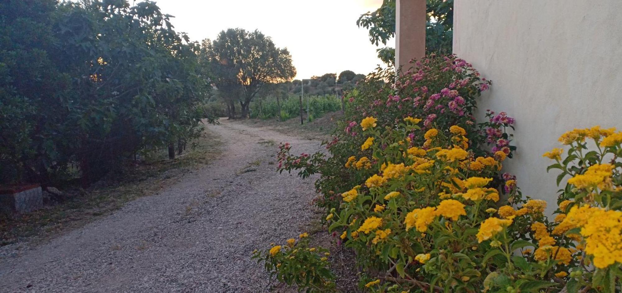 Agriturismo Muristene Villa Dorgali Bagian luar foto