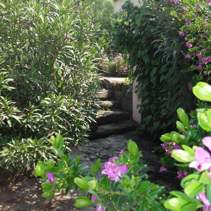 Agriturismo Muristene Villa Dorgali Bagian luar foto